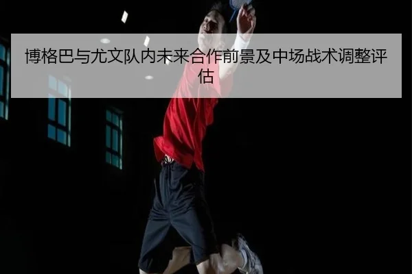 博格巴与尤文队内未来合作前景及中场战术调整评估 - mgsport